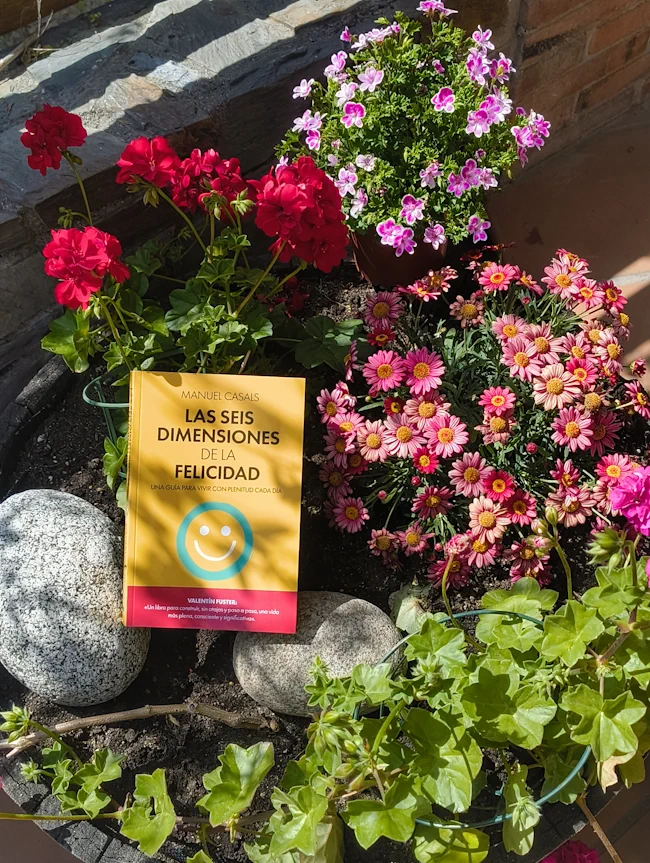 Portada del libro "Las Seis Dimensiones de la Felicidad"